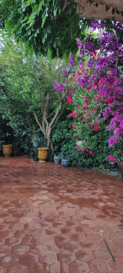 Maison De Vacances A L'Ayguade Classee 3 Etoiles, Climatisee,3Mn A Pied Plage Et Restos ,5Mn Aeroport, 10Mn Gare Hyeres Ngoại thất bức ảnh